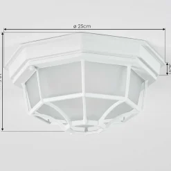 Plafonnier Exterieur Ibacache Blanc, 1 Lumiere