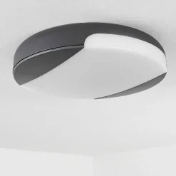Plafonnier Exterieur Joserand Led Anthracite, 1 Lumiere