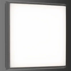 Plafonnier Exterieur Lcd Typ 5060 Led Noir, 1 Lumiere