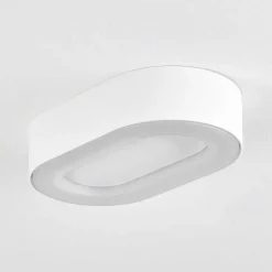 Plafonnier Exterieur Paleroo Led Blanc, 1 Lumiere