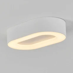 Plafonnier Exterieur Paleroo Led Blanc, 1 Lumiere