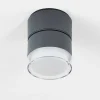 Plafonnier Exterieur Papagayos Led Anthracite, Blanc, 1 Lumiere, Changeur De Couleurs