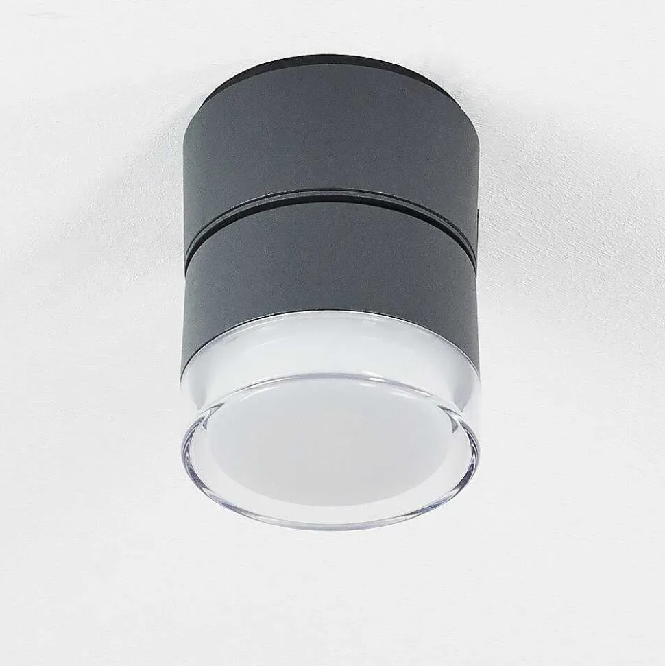 Plafonnier Exterieur Papagayos Led Anthracite, Blanc, 1 Lumiere, Changeur De Couleurs