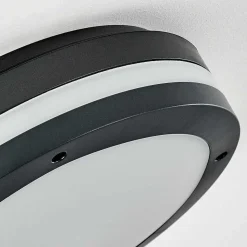Plafonnier Exterieur Wollongong Led Anthracite, 1 Lumiere