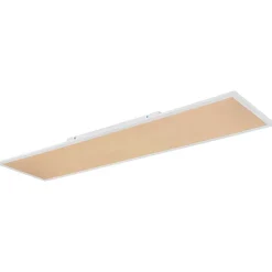 Plafonnier Globo Doro Led Blanc, 2 Lumieres, Telecommandes, Changeur De Couleurs