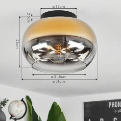 Plafonnier Molloy Or, Clair, Fume, 1 Lumiere
