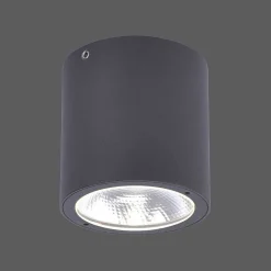 Plafonnier Paul Neuhaus Georg Led Anthracite, 1 Lumiere