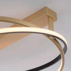 Plafonnier Paul Neuhaus Q-Beluga Led Or, 1 Lumiere, Telecommandes