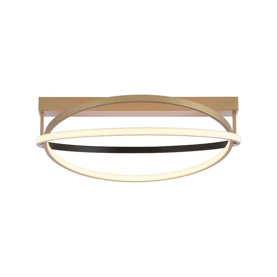 Plafonnier Paul Neuhaus Q-Beluga Led Or, 1 Lumiere, Telecommandes