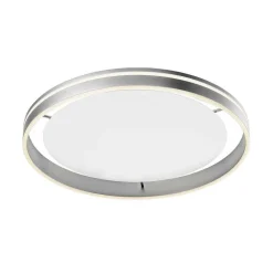 Plafonnier Paul Neuhaus Q-Vito Led Acier Inoxydable, 1 Lumiere, Telecommandes