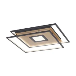 Plafonnier Paul Neuhaus Q-Amira Led Noir, 1 Lumiere, Telecommandes