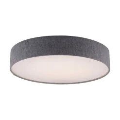 Plafonnier Paul Neuhaus Q-Kiara Led Gris, 1 Lumiere, Telecommandes