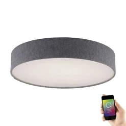 Plafonnier Paul Neuhaus Q-Kiara Led Gris, 1 Lumiere, Telecommandes