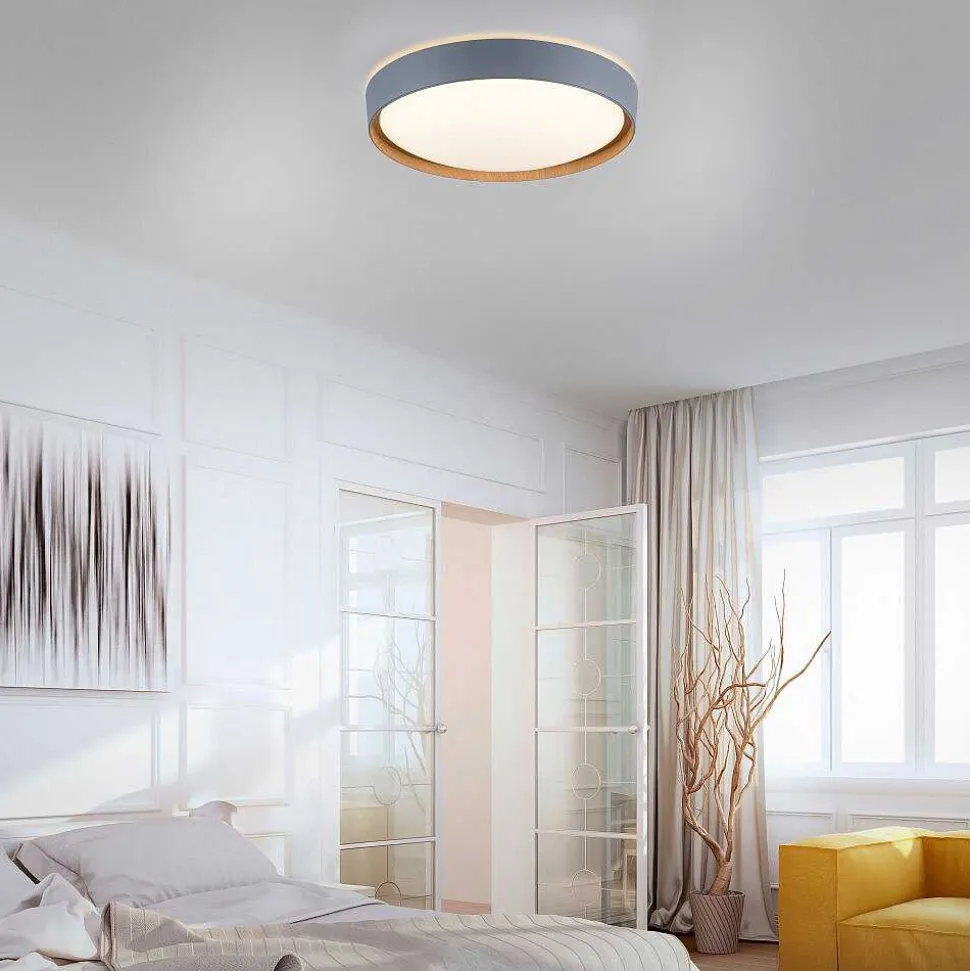 Plafonnier Paul Neuhaus Q-Emilia Led Gris, Couleur Bois, 1 Lumiere, Telecommandes