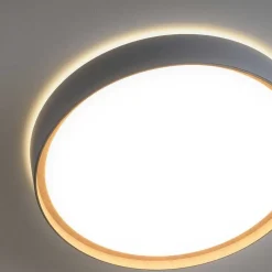 Plafonnier Paul Neuhaus Q-Emilia Led Gris, Couleur Bois, 1 Lumiere, Telecommandes