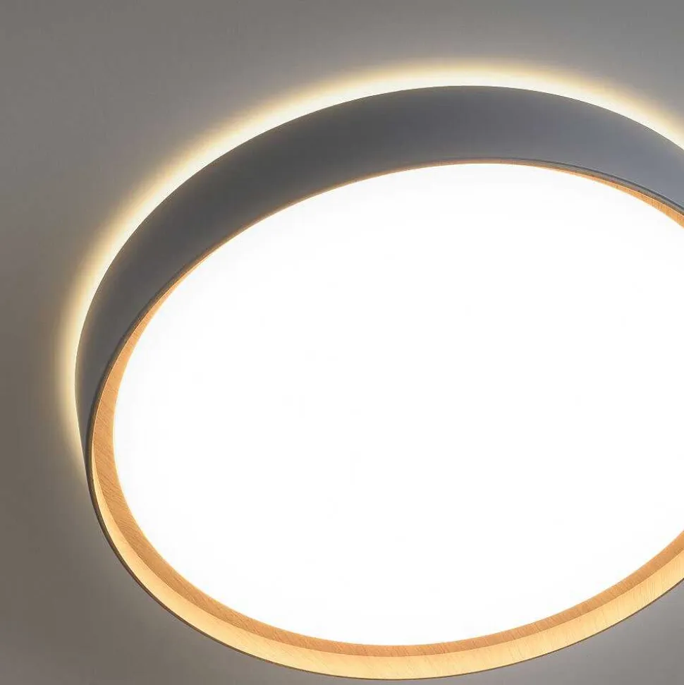 Plafonnier Paul Neuhaus Q-Emilia Led Gris, Couleur Bois, 1 Lumiere, Telecommandes