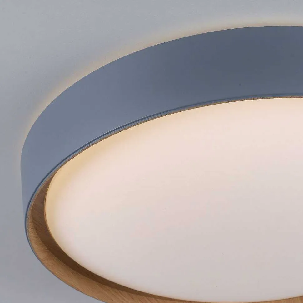 Plafonnier Paul Neuhaus Q-Emilia Led Gris, Couleur Bois, 1 Lumiere, Telecommandes