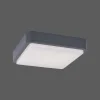 Plafonnier Paul Neuhaus Q-Lenny Led Anthracite, 1 Lumiere, Telecommandes, Changeur De Couleurs