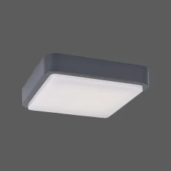 Plafonnier Paul Neuhaus Q-Lenny Led Anthracite, 1 Lumiere, Telecommandes, Changeur De Couleurs
