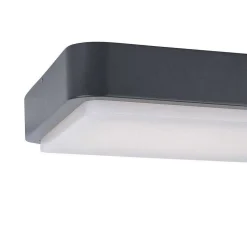 Plafonnier Paul Neuhaus Q-Lenny Led Anthracite, 1 Lumiere, Telecommandes, Changeur De Couleurs