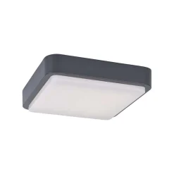 Plafonnier Paul Neuhaus Q-Lenny Led Anthracite, 1 Lumiere, Telecommandes, Changeur De Couleurs