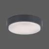 Plafonnier Paul Neuhaus Q-Lenny Led Anthracite, 1 Lumiere, Telecommandes, Changeur De Couleurs