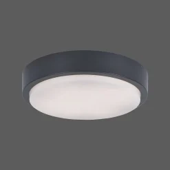 Plafonnier Paul Neuhaus Q-Lenny Led Anthracite, 1 Lumiere, Telecommandes, Changeur De Couleurs