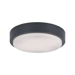 Plafonnier Paul Neuhaus Q-Lenny Led Anthracite, 1 Lumiere, Telecommandes, Changeur De Couleurs