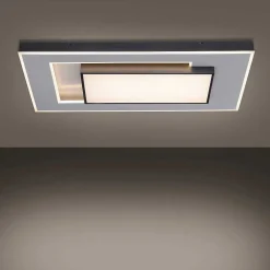 Plafonnier Paul-Neuhaus Q-Alta Led Noir, 1 Lumiere, Telecommandes