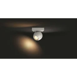 Plafonnier Philips Hue Buckram Led Blanc, 1 Lumiere