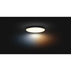 Plafonnier Philips Hue Cher Led Noir, 1 Lumiere, Telecommandes