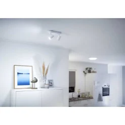 Plafonnier Philips Wiz Imageo Led Blanc, 2 Lumieres, Changeur De Couleurs