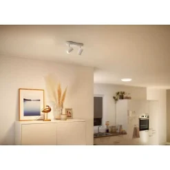 Plafonnier Philips Wiz Imageo Led Blanc, 2 Lumieres, Changeur De Couleurs
