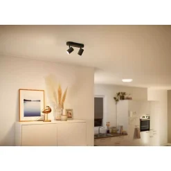 Plafonnier Philips Wiz Imageo Led Noir, 2 Lumieres