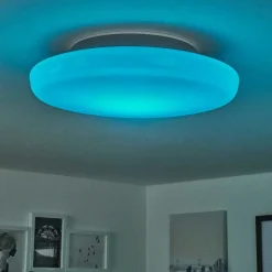 Plafonnier Ral Led Argente, Blanc, 1 Lumiere, Telecommandes, Changeur De Couleurs
