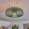 Plafonnier Wemude Vert, 1 Lumiere
