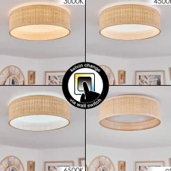 Plafonnier Wynona Led Blanc, 1 Lumiere