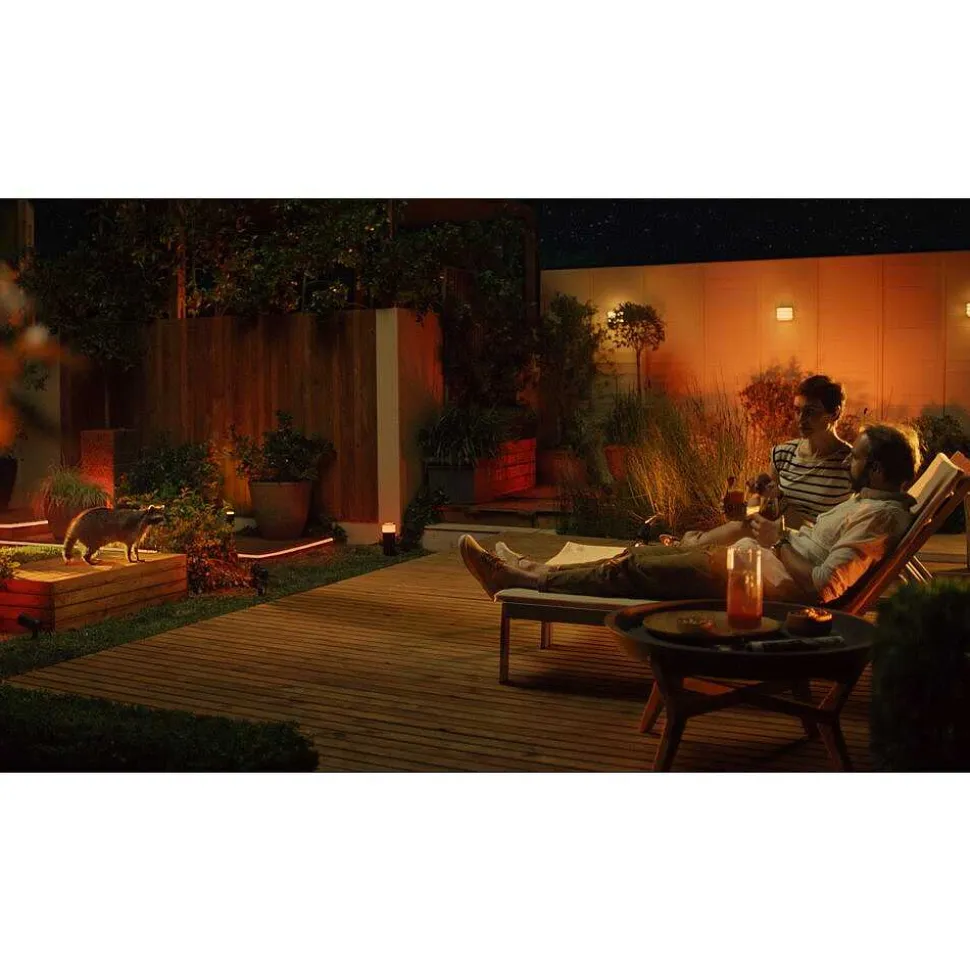Ruban Lumineux Exterieur Philips Hue Ambiance White & Color Led Blanc, 1 Lumiere