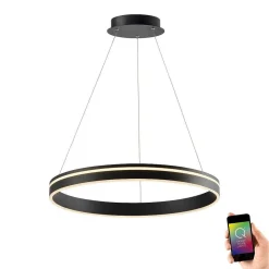 Suspension Paul Neuhaus Q-Vito Led Anthracite, 1 Lumiere, Telecommandes