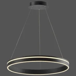 Suspension Paul Neuhaus Q-Vito Led Anthracite, 1 Lumiere, Telecommandes