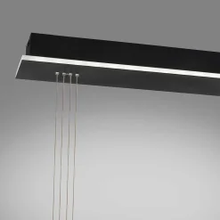 Suspension Paul Neuhaus Q-Etienne Led Noir, 2 Lumieres, Telecommandes