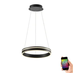 Suspension Paul Neuhaus Q-Vito Led Anthracite, 1 Lumiere, Telecommandes