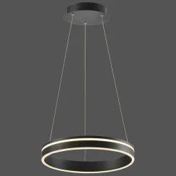 Suspension Paul Neuhaus Q-Vito Led Anthracite, 1 Lumiere, Telecommandes