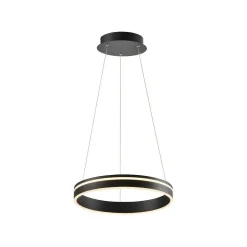 Suspension Paul Neuhaus Q-Vito Led Anthracite, 1 Lumiere, Telecommandes