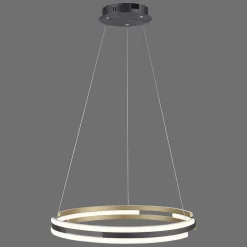 Suspension Paul Neuhaus Q-Beluga Led Or, 1 Lumiere, Telecommandes
