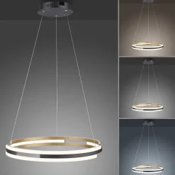 Suspension Paul Neuhaus Q-Beluga Led Or, 1 Lumiere, Telecommandes