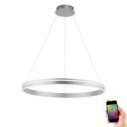 Suspension Paul Neuhaus Q-Vito Led Acier Inoxydable, 1 Lumiere, Telecommandes