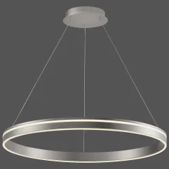 Suspension Paul Neuhaus Q-Vito Led Acier Inoxydable, 1 Lumiere, Telecommandes