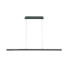 Suspension Paul-Neuhaus Q-Arian Led Anthracite, 4 Lumieres, Telecommandes