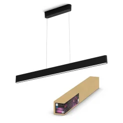 Suspension Philips Hue White & Color Ambiance Ensis Led Noir, 2 Lumieres, Changeur De Couleurs